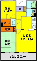 パインシルクふじみ野の物件間取画像